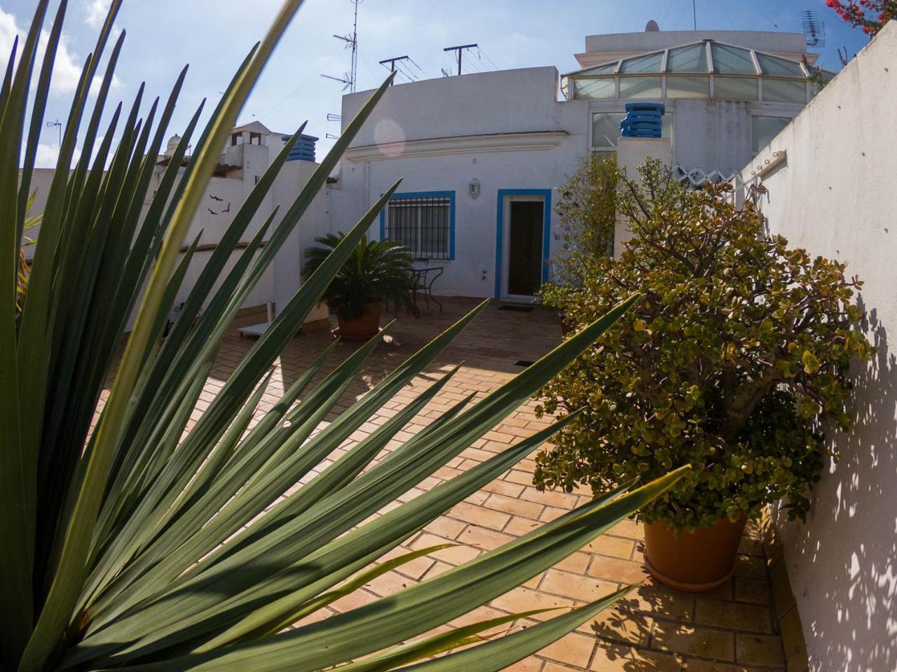 加的斯La Terraza Del Drago公寓 外观 照片